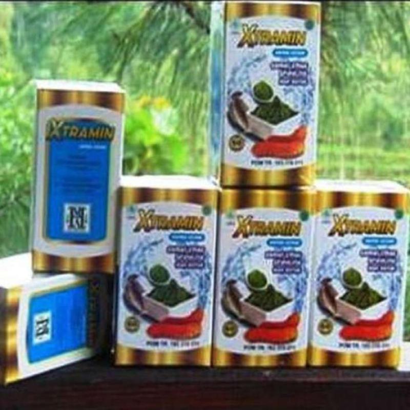 Jual Herbalis Xtramin Suplemen Kesehatan Murah Mei 2021 Blibli