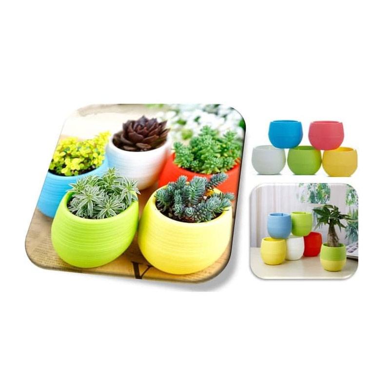 Jual Medan Meriah Pot Bunga Mini Online April 2021 Blibli