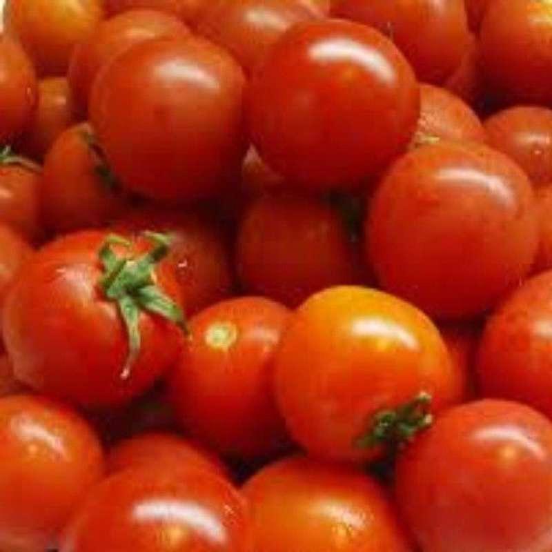 Jual Aku Sayur Buah Tomat 500 G Online Oktober 2020 Blibli Com