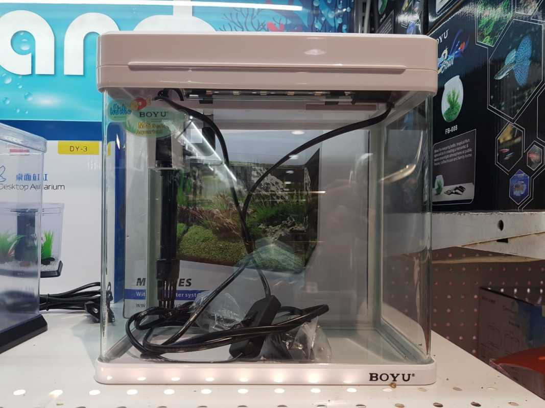 Jual Boyu Akuarium Nano Ms 22 Cm Boyu Aquarium Nano Ms 22 Cm di