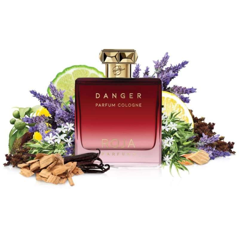 Jual Roja Danger Pour Homme Parfum Cologne Dove Men Edp 100 Ml Online November 2020 Blibli Com