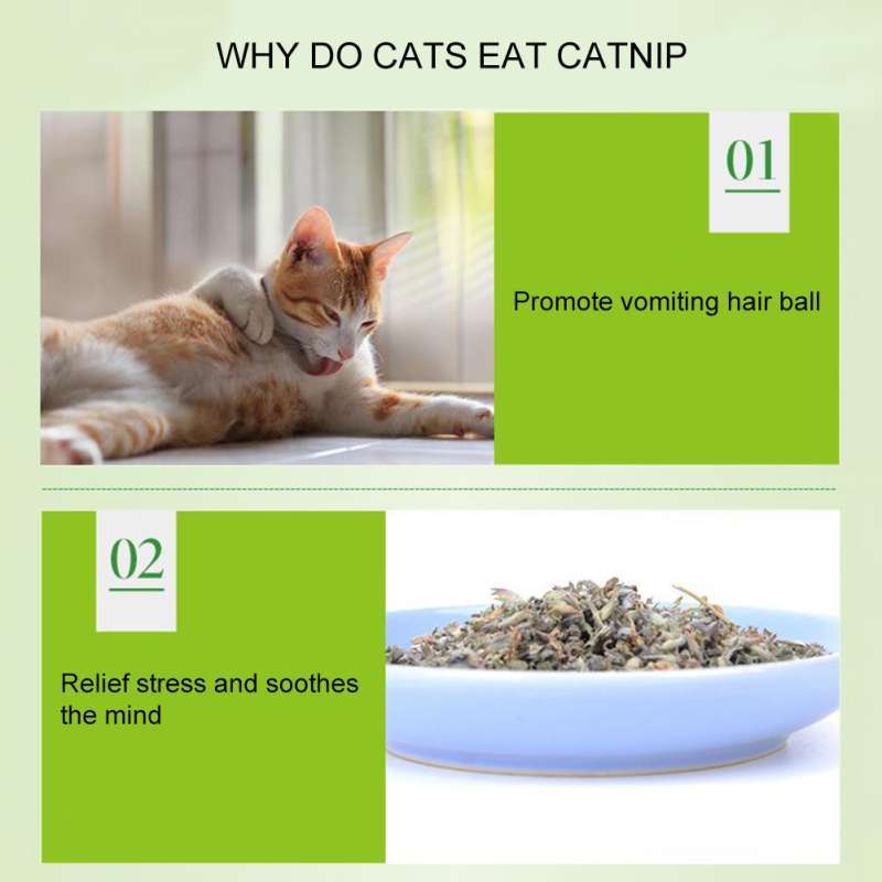 Jual Bluelans 5g Pack Cat Mint Powder Natural Catnip Pet Kitten Mouth Cleaning Flavor Treats Online Desember 2020 Blibli