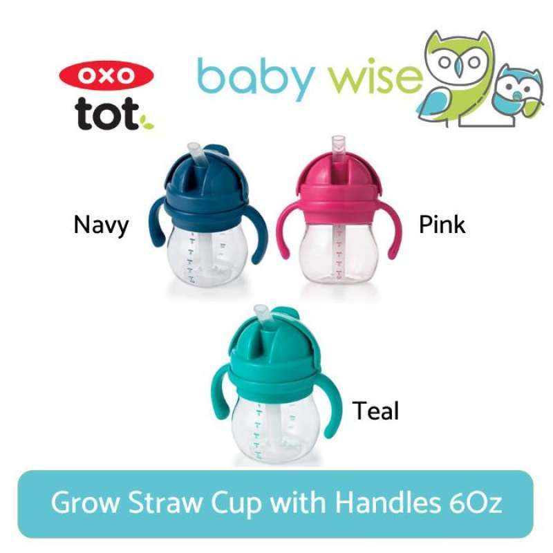 OXO Tot Grow Straw Cup w/ Handles - 6 oz