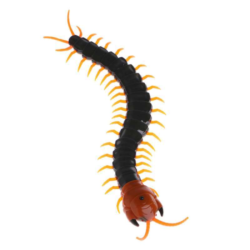 centipede remote control toy