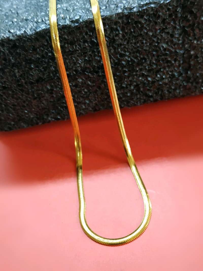 ROBAGIN kalung titanium Murah pria wanita anti karat emas belut korea keren  Kb35