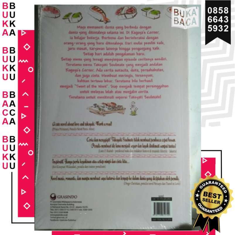 Resensi Novel Hello Salma Lukisan