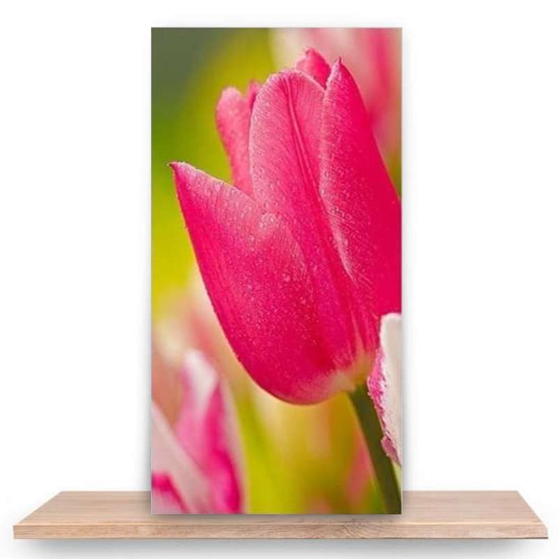Jual Hiasan Dinding Dekorasi Rumah Walldecor Shabby Chic Murah Mei 2021 Blibli