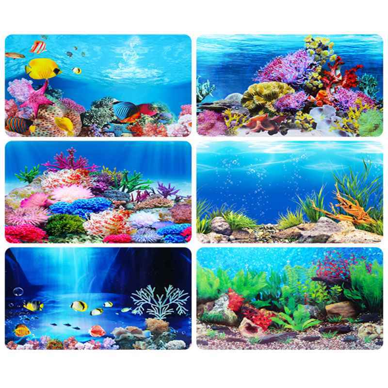 Jual Bluelans Aquarium Background Poster Ocean Self-adhesive Fish Tank Backdrop Sticker Décor 40x62cm Terbaru Juni 2021 | Blibli