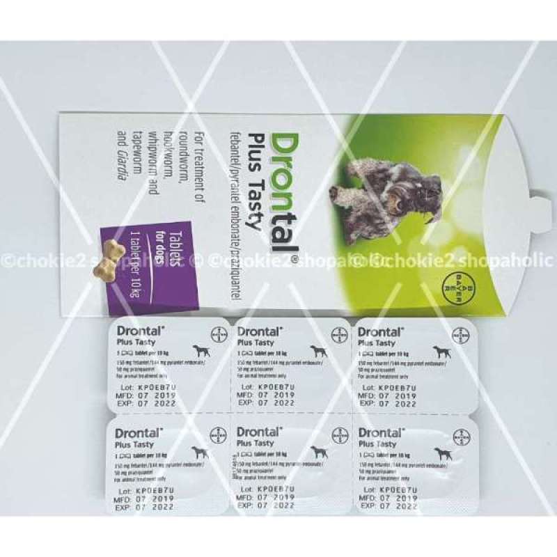drontal pup 100 ml