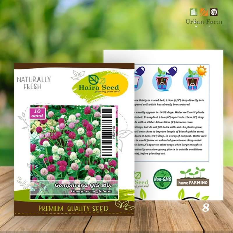 Jual Benih Bibit Bunga Kancing Putih Ungu Gomphrena Qis Mix Haira Seed Terbaru Juni 2021 Blibli