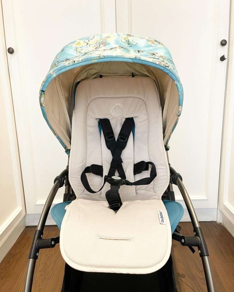 Bugaboo Bee Bugaboo New Stroller 2020 Bugaboo Bee Stroller Reviews