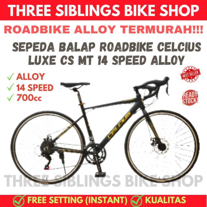 Celsius top road bike