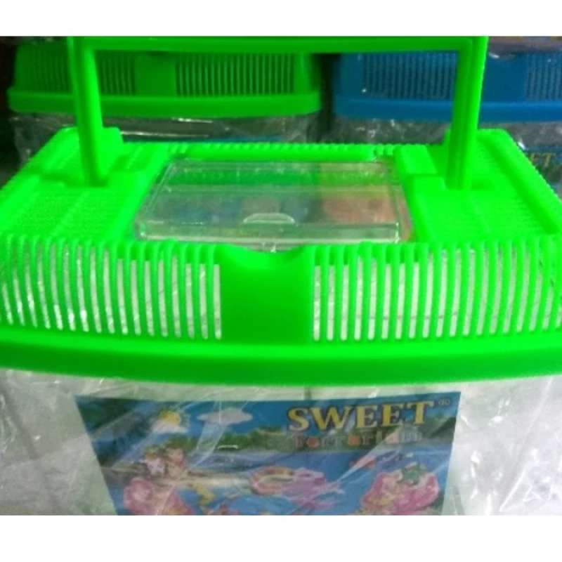 Promo Akuarium Mini Tempat Kura Kura Terrarium Pet Home Size Big Di Seller Khanza Store Kota Jakarta Barat Dki Jakarta Blibli