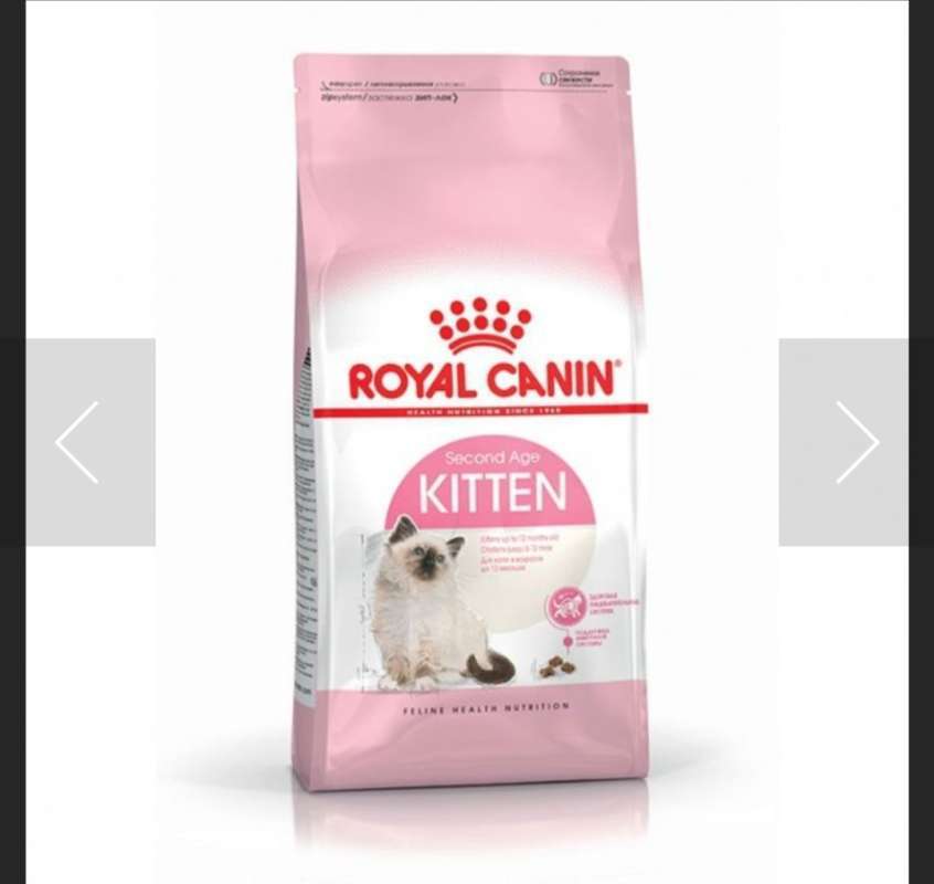 Royal canin kitten ragdoll sales