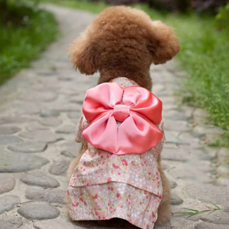 Promo Cat Japanese Kimono Dress Up 