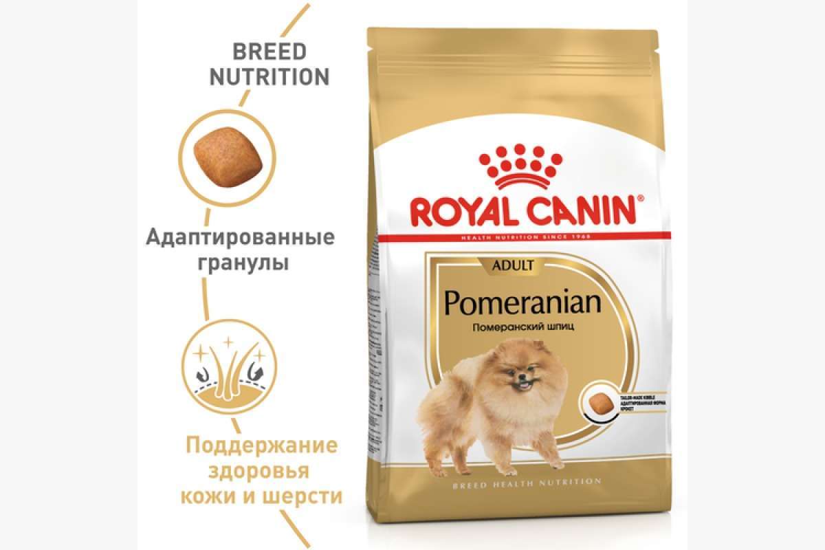 royal canin siberian cat