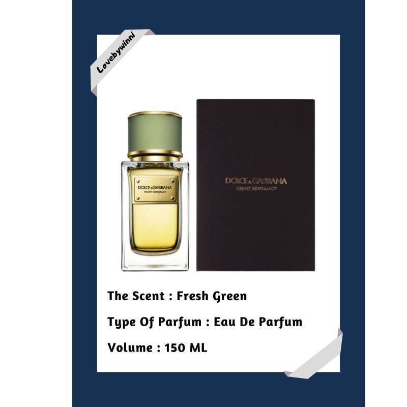 Dolce and gabbana velvet bergamot outlet