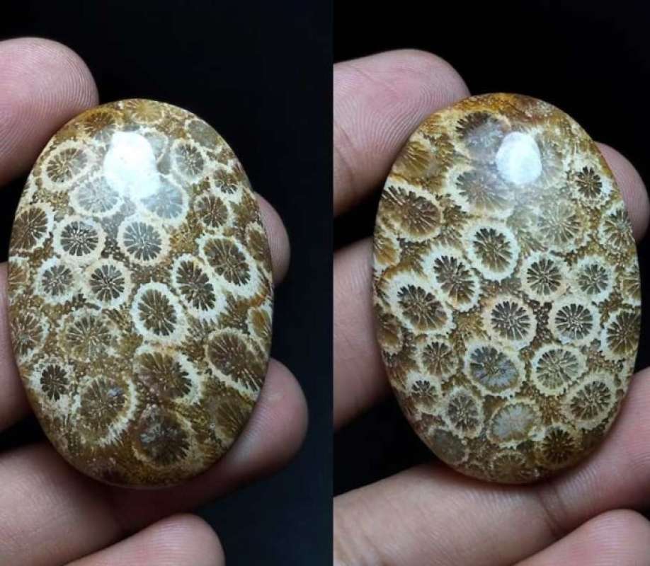 Jual Natural Batu Akik Motif Gambar Bunga Teratai Unik Antik 23 di Seller  Hobigems - Peterongan, Kota Semarang | Blibli