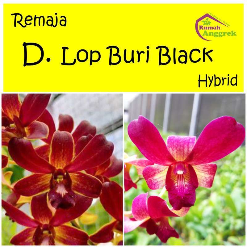 Gomoseksual erkak uxlab yotgan yigitni soradi Strapon femdom porno videolar