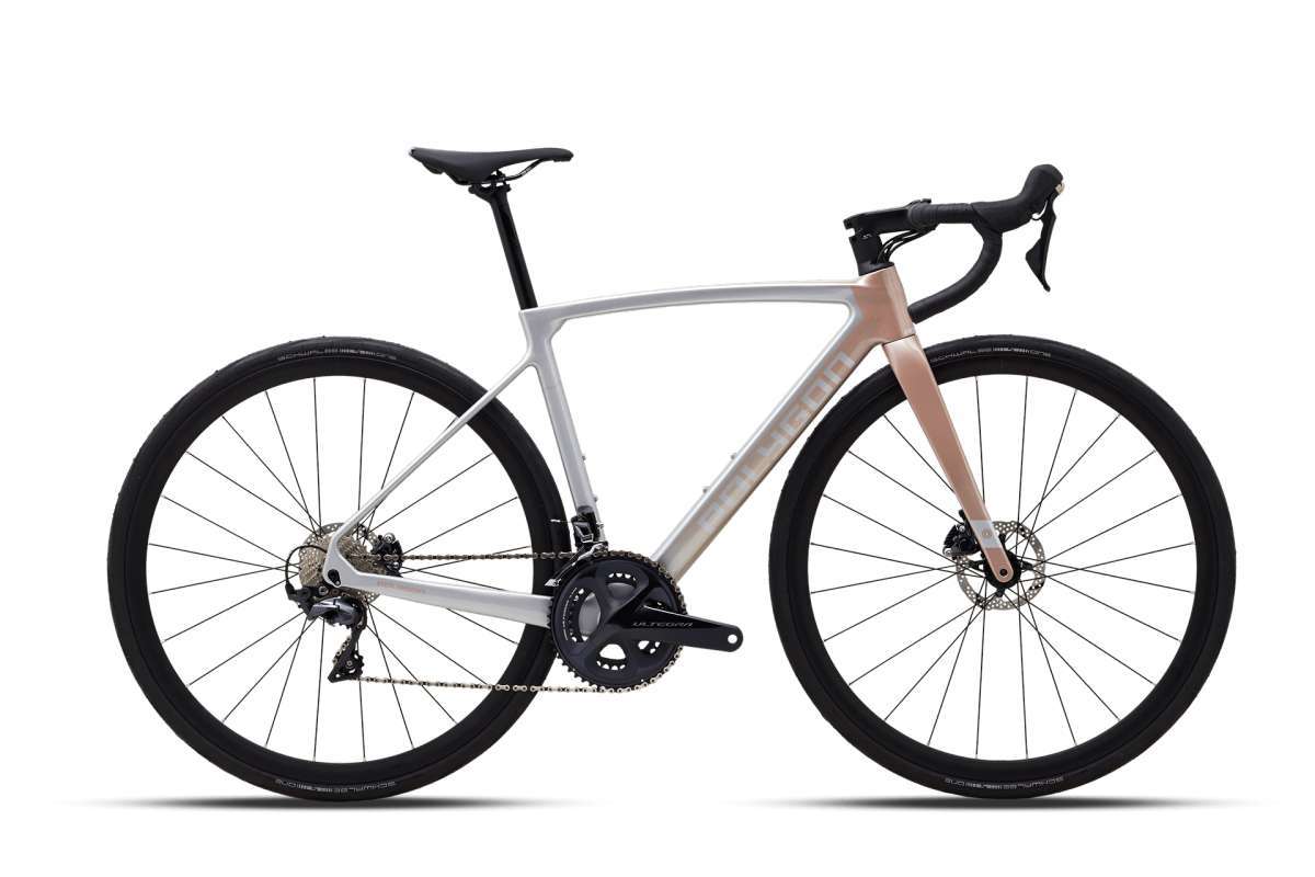 Road bike hotsell polygon termahal