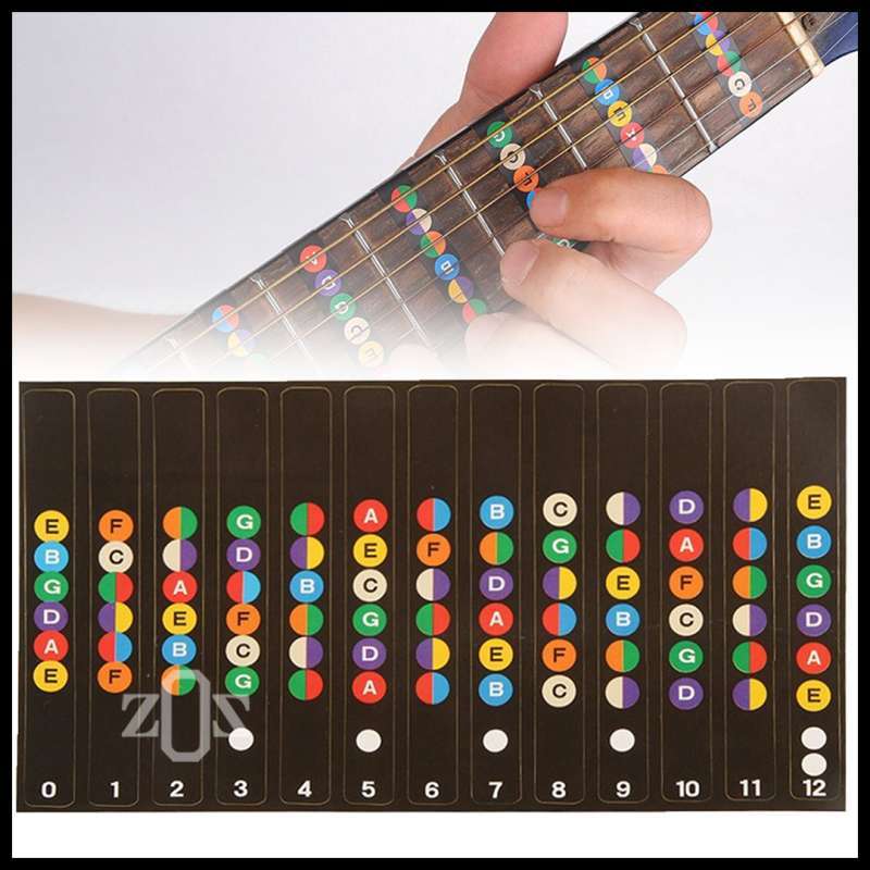 Fret gitar store