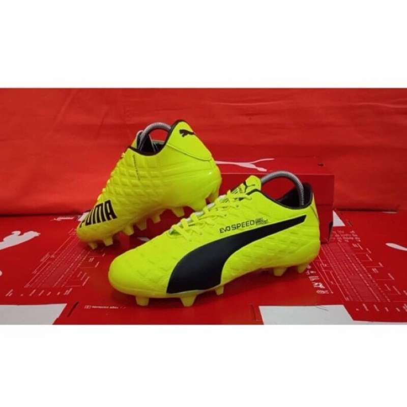 sepatu futsal puma evospeed