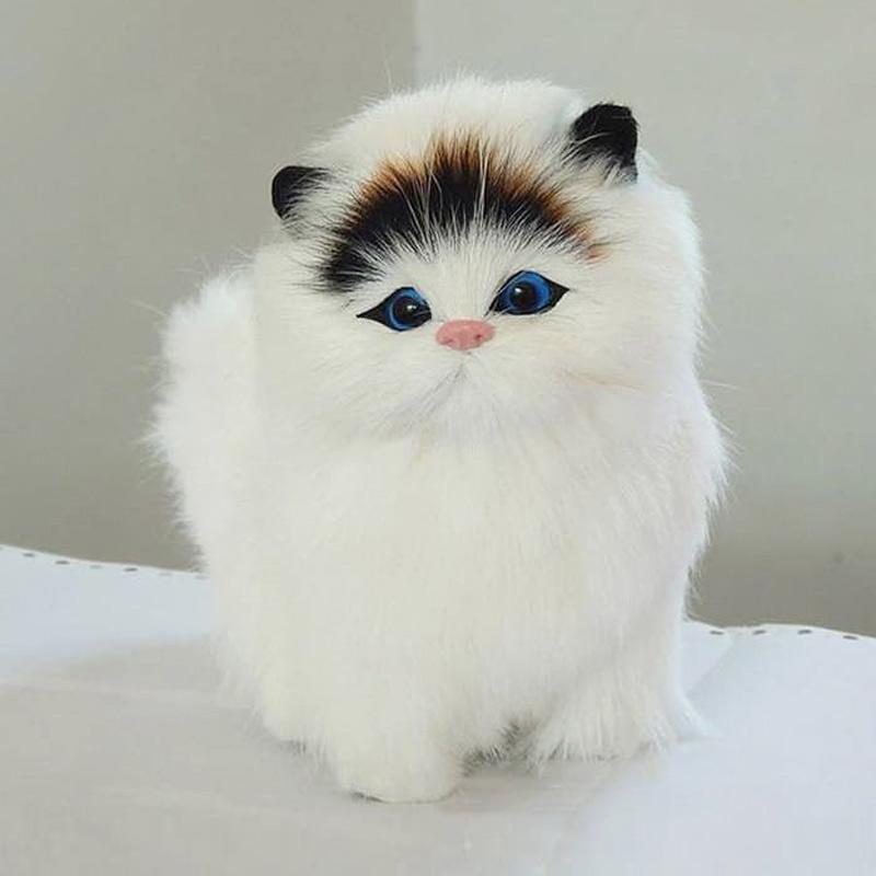 Jual Oem Boneka Kucing 20 Cm Online Oktober 2020 Blibli Com