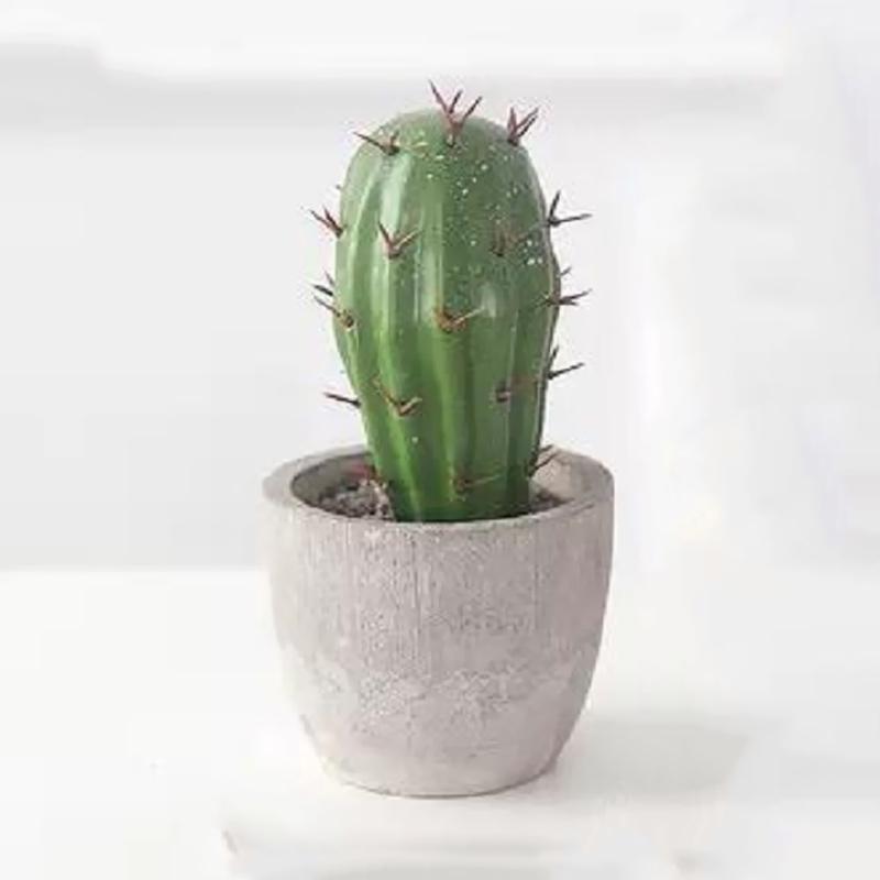 Jual Vingy Home Decor D Sijangkung Kaktus Tanaman Artifisial Online September 2020 Blibli Com