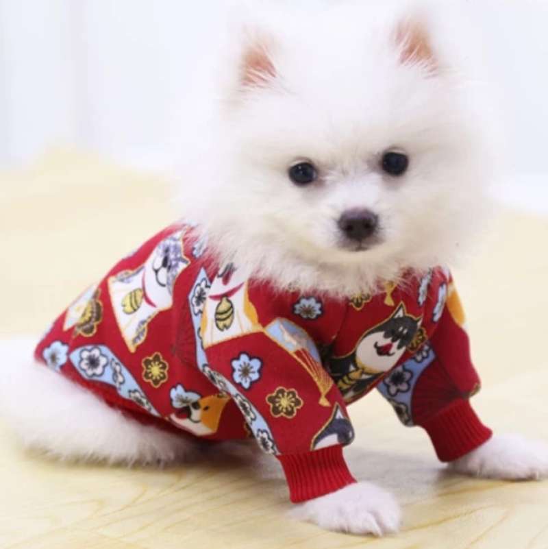 dog chinese new year costume