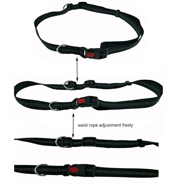 pole leash for dogs
