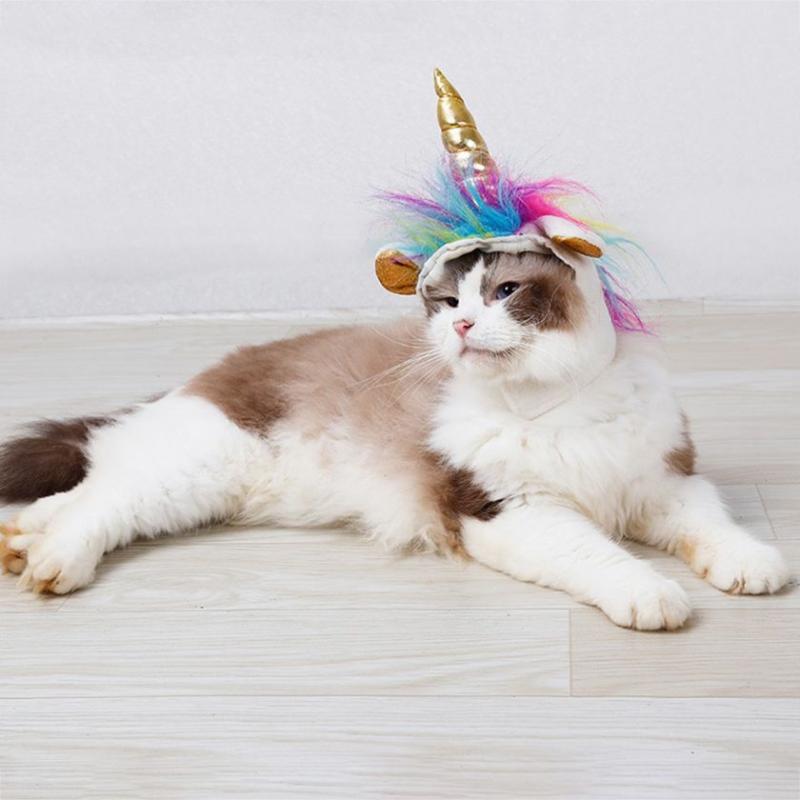 Jual Eds Pet Cat Unicorn Hats Cute Christmas Dress Up Headwear For