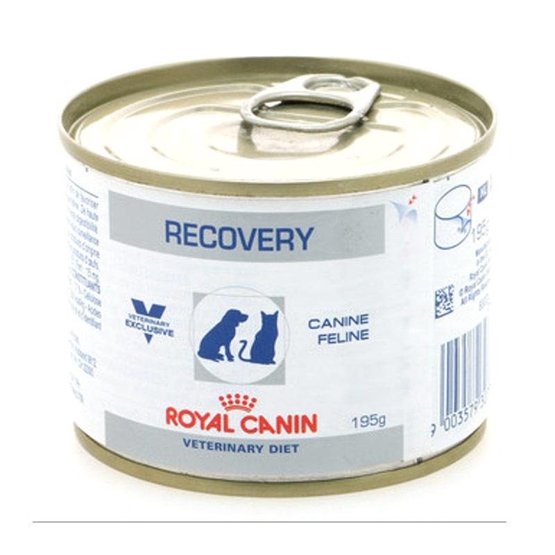Royal canin recovery untuk kitten 2025