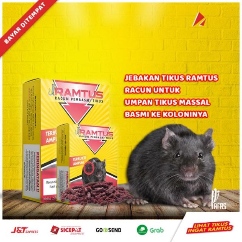 Jual Ramtus Racun Pembasmi Tikus Online Maret 2021 Blibli 256 likes · 13 talking about this. ramtus racun pembasmi tikus