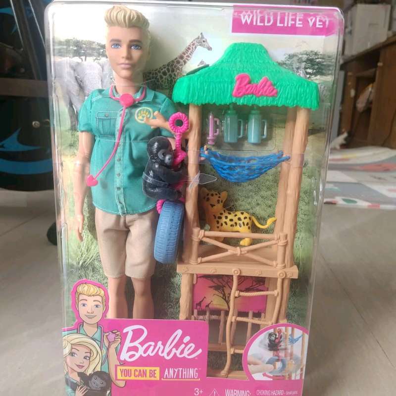 Ken vet doll shop