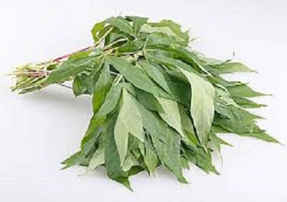 Jual Rumah Sayur Fresh Sayur Daun Singkong Ikat Online November 2020 Blibli