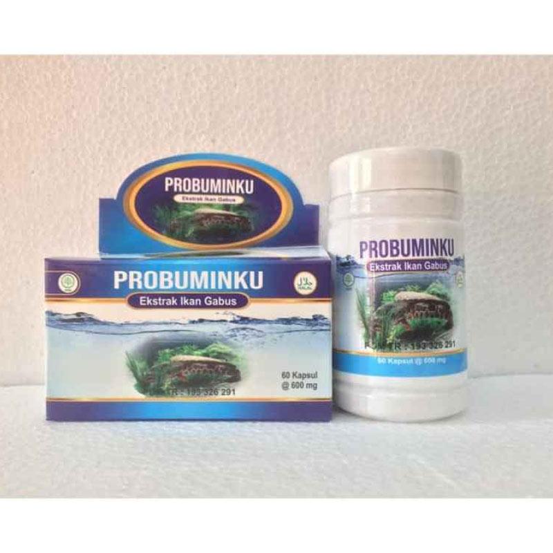 Jual Pro Albuminku Ekstrak Ikan Gabus Suplemen Kesehatan 60 Kapsul Murah Agustus 2020 Blibli Com