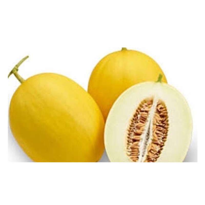 Jual Greenfresh Melon Hidroponik Online Oktober 2020 Blibli Com