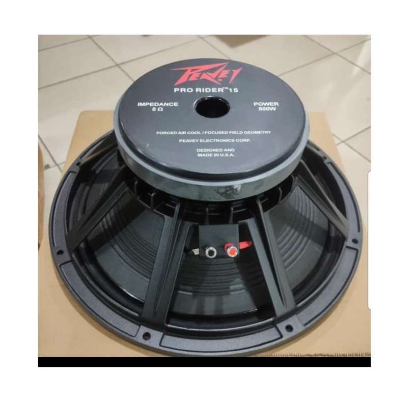 speaker 15 inci