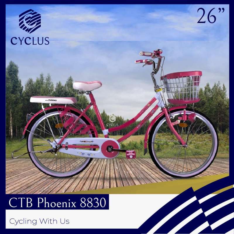 City 2025 bike phoenix