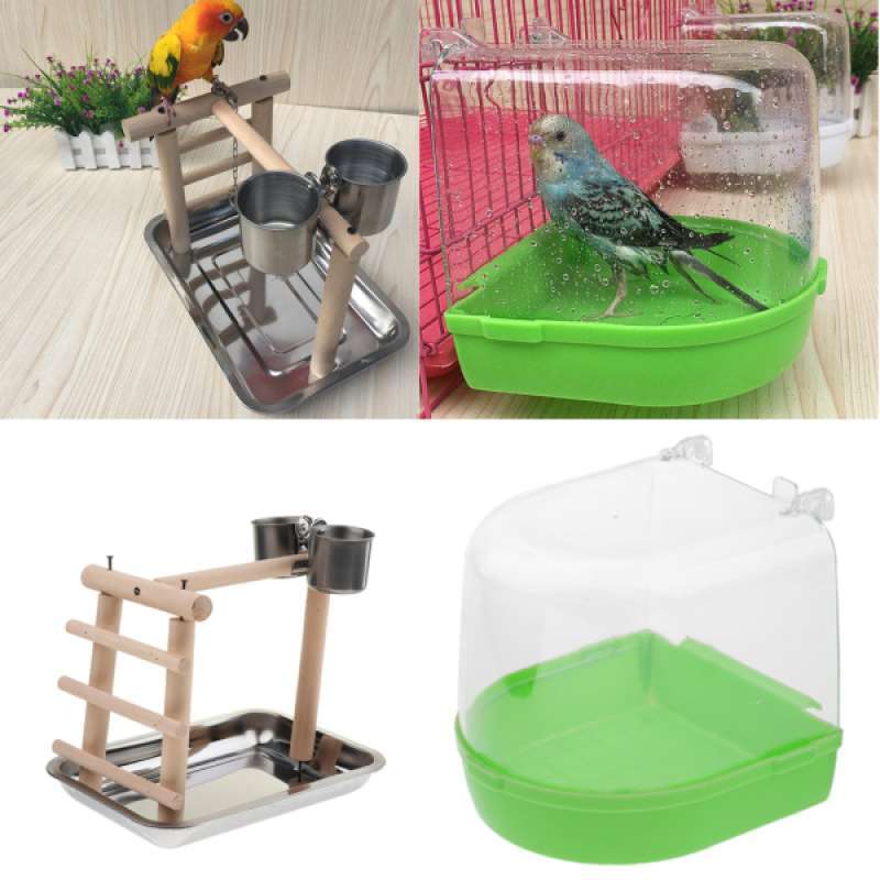 harga cockatiel