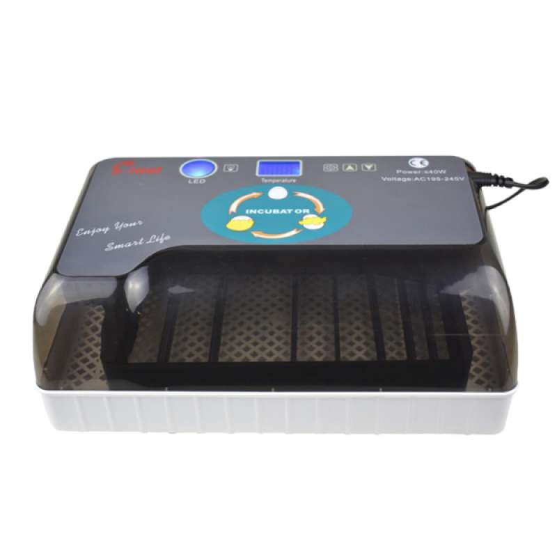Promo Egg Incubator Tray 12 Grids Hatcher Box Bird Amphibians Hatching Box AU Plug di Seller Homyl - China | Blibli Promo Egg Incubator Tray 12 Grids Hatcher Box Bird Amphibians Hatching Box AU Plug di Seller Homyl - China | Blibli