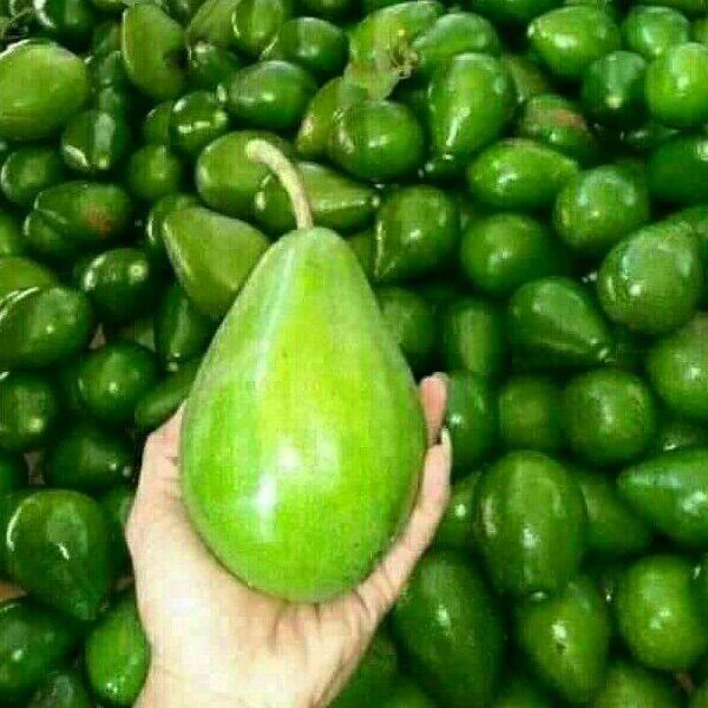 Jual Ibaza Fruitsbox Buah Alpukat Mentega 1 Kg Buah Segar Online Oktober 2020 Blibli Com