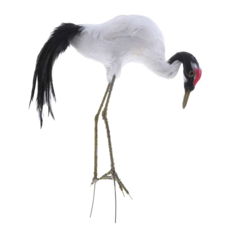 Promo Artificial Feathered Red Crowned Crane Yard Statue Realistic Garden Decor Di Seller Homyl China Blibli
