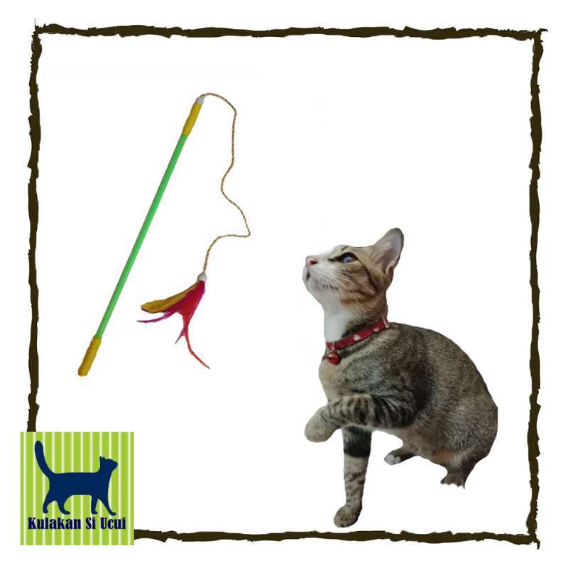 Jual Oem Mainan Tongkat Bulu Penggoda Kucing 1 Pcs Warna Random Online Maret 2021 Blibli Foto kucing selalu bikin gemas. oem mainan tongkat bulu penggoda kucing 1 pcs warna random