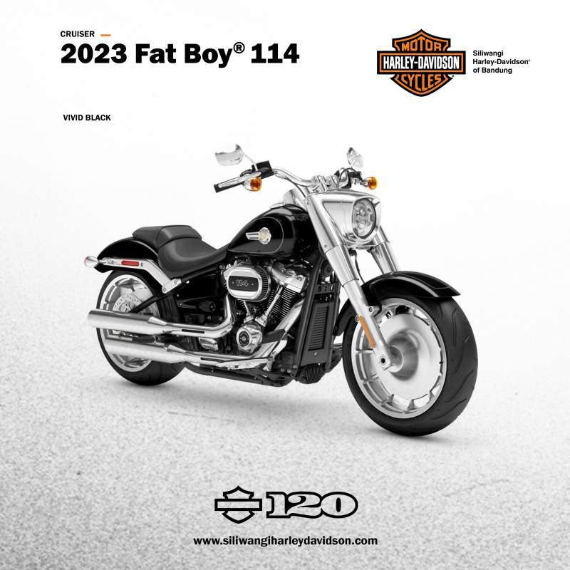 Harley fatboy hot sale harga