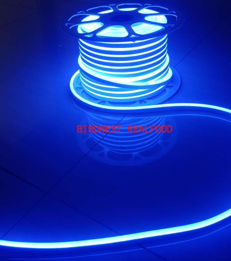 lampu led neon flex selang flexible sign strip fleksibel 220v