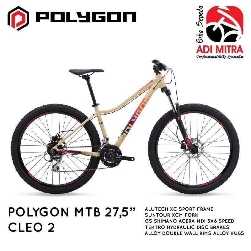 Polygon lady bike store