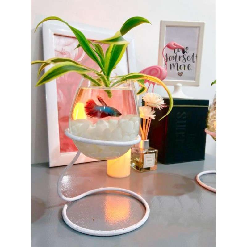 Jual Vaskuarium Aquarium Hias Mini Dekorasi Rumah Aquarium Mini Plus Tanaman Standing Vas Ikan Cupang Vas Dekorasi Rumah Hiasan Taman Paket Dengan Ikan Online Februari 2021 Blibli