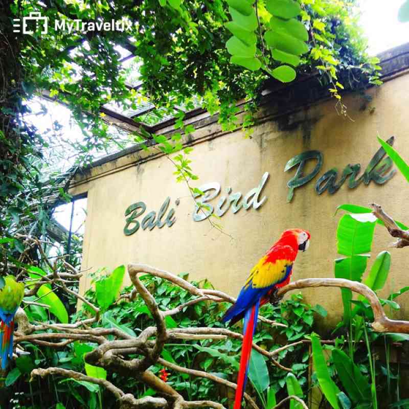 Promo Bali Bird Park Tiket Masuk Bali Bird Park [WNI/ Dewasa] di Seller  MyTraveltix - Kota Jakarta Barat, DKI Jakarta | Blibli