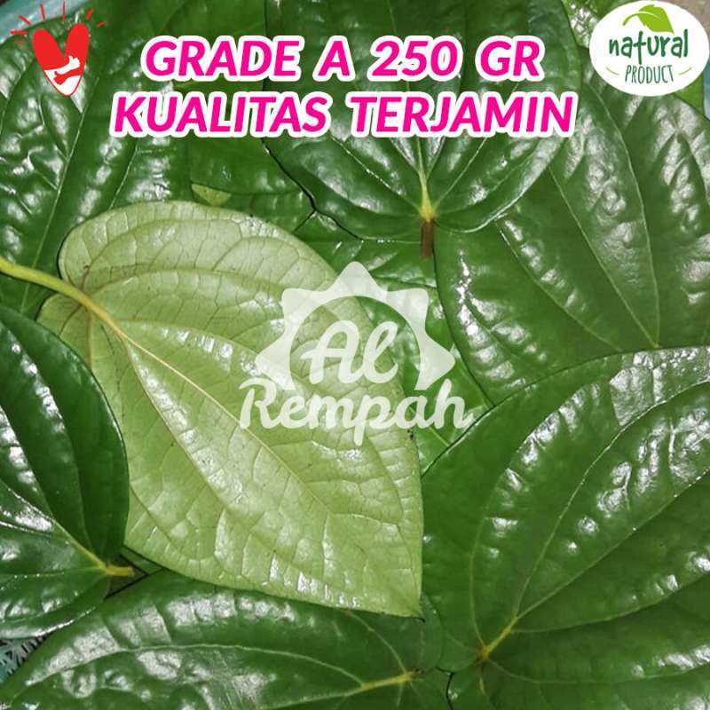ubat periuk   28